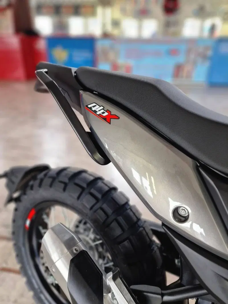 Betamotor Alp X (2024 - 26) (6)