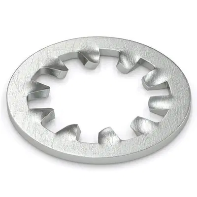 Rondelle dentellate internamente da 1/4" Gardner-W 