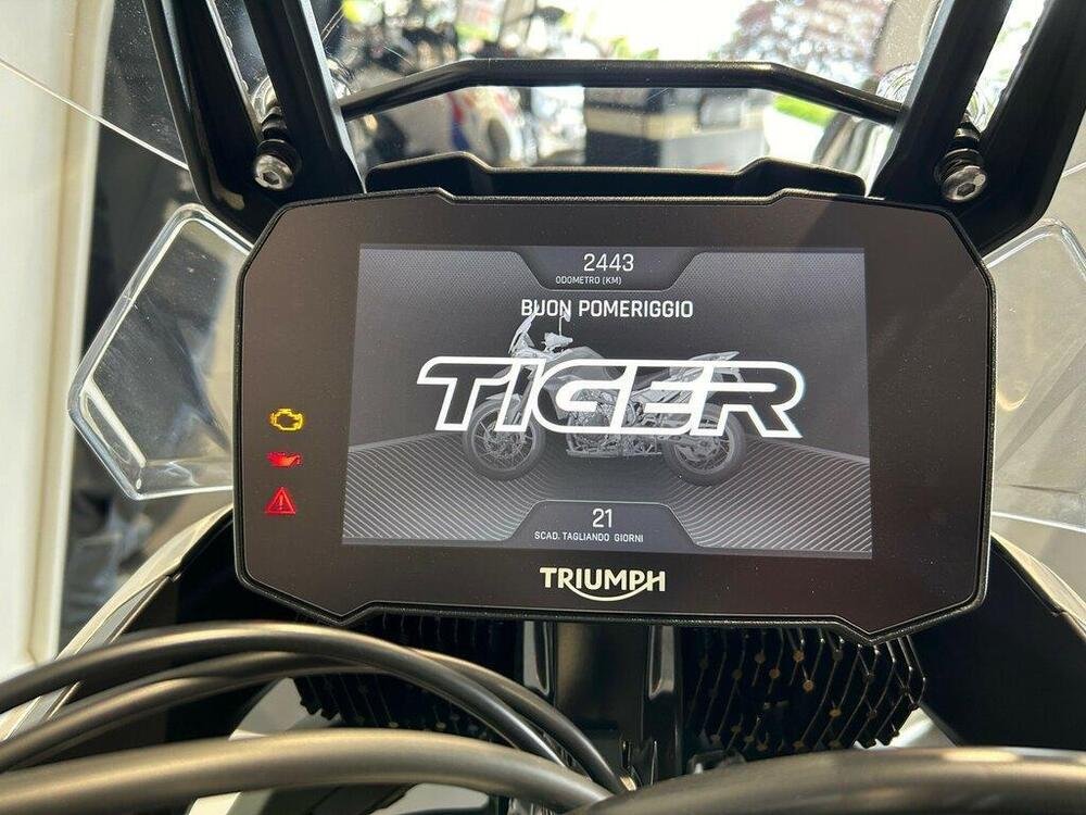 Triumph Tiger 900 Rally Pro (2020 - 23) (5)