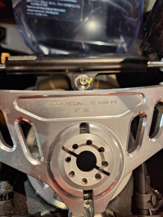 Ducati Panigale V4 R (2023 - 24) (5)