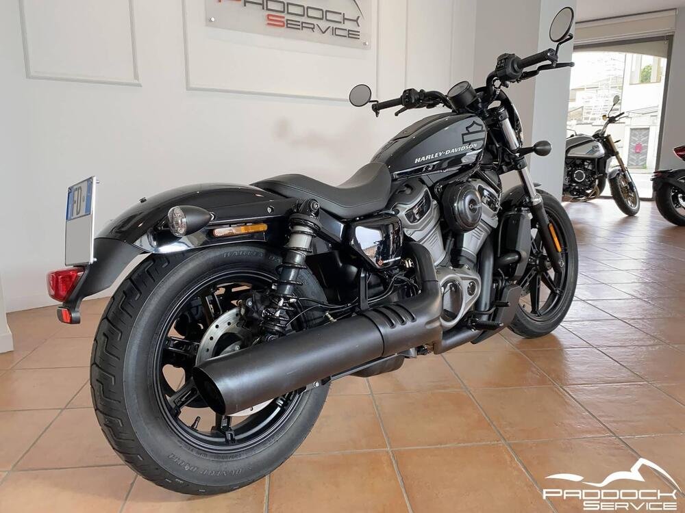 Harley-Davidson Nightster (2023 - 24) (5)