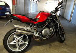 MV Agusta Brutale 910 S (2005 - 11) usata