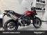 Triumph Tiger 900 GT (2024) (8)