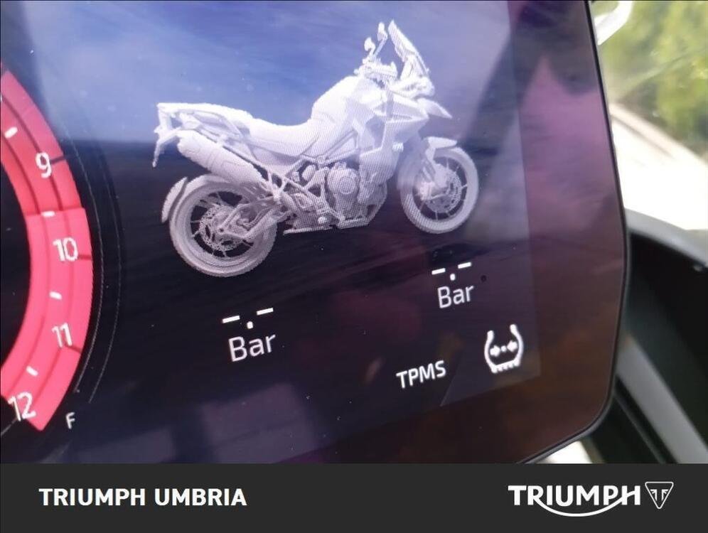 Triumph Tiger 1200 GT Explorer (2022 - 23) (5)
