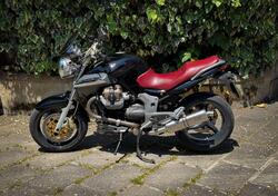 Moto Guzzi Breva V 1100 i.e. usata