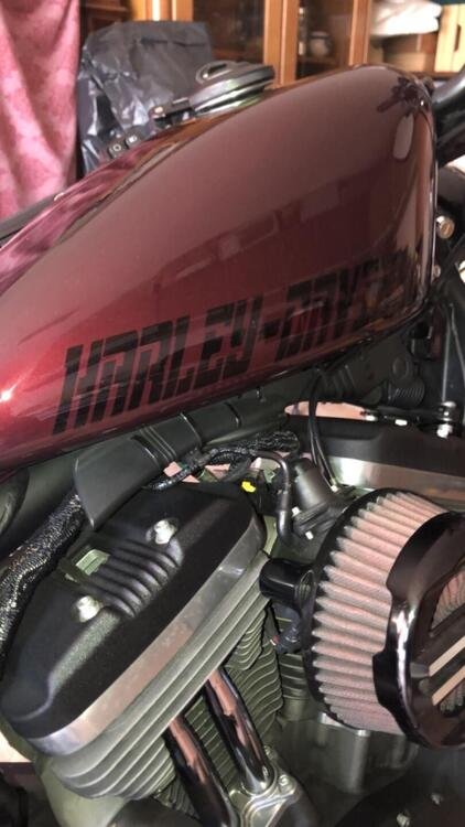 Harley-Davidson 1200 Roadster (2016 - 2017) - XL 1200R (2)