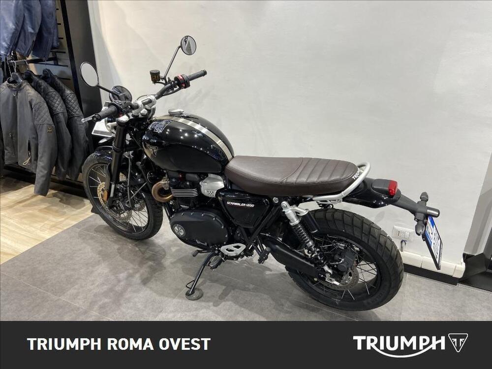 Triumph Scrambler 1200 X (2024) (3)