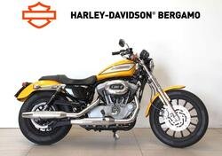 Harley-Davidson 1200 Roadster (2002 - 05) - XL 1200R usata