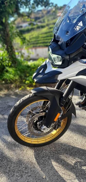 Bmw F 850 GS (2018 - 20) (2)