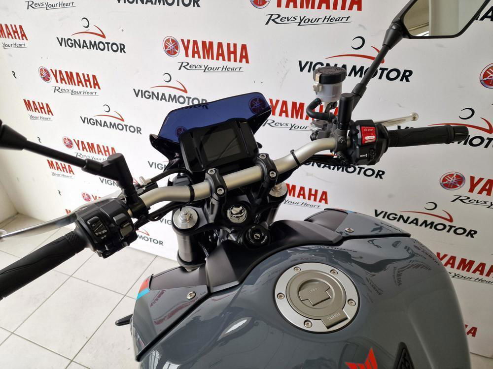 Yamaha MT-09 (2021 - 23) (2)