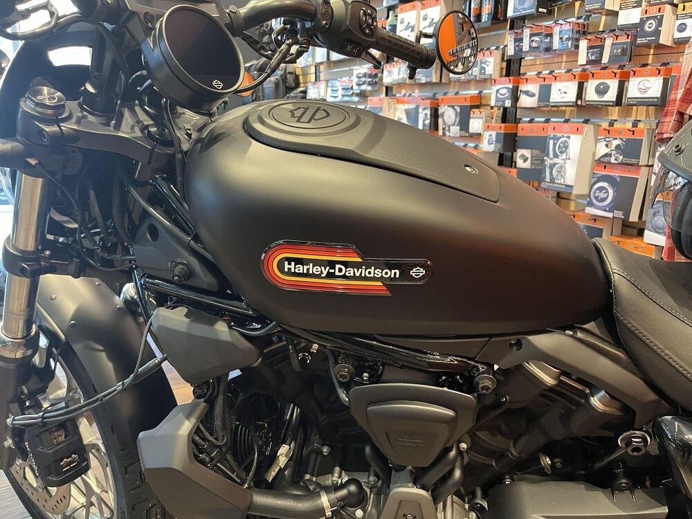 Harley-Davidson Nightster Special (2023 - 24) (5)