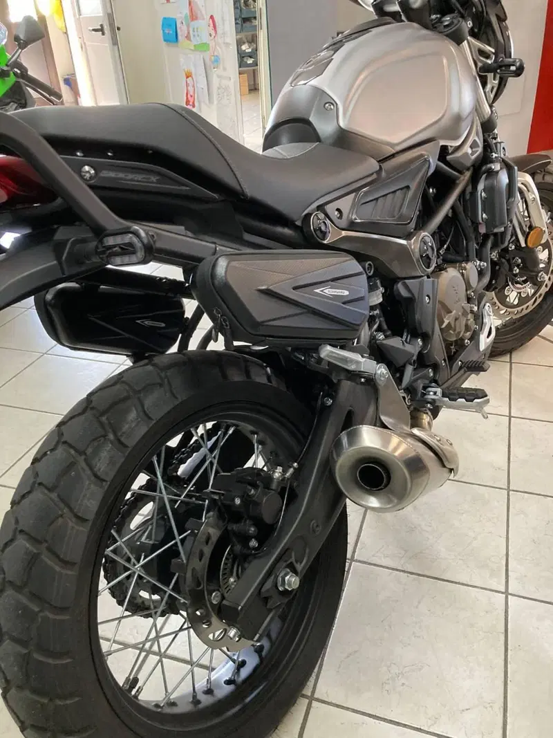 Voge Trofeo 300ACX Scrambler (2021 - 26) (4)