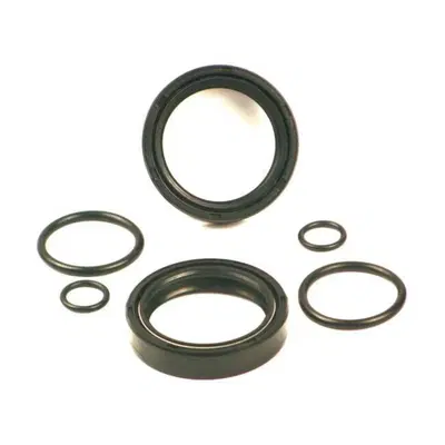 Kit guarnizioni Paraoli forcelle 41mm per FL dal 1 