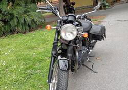 Triumph Bonneville 800 (2002 - 07) usata