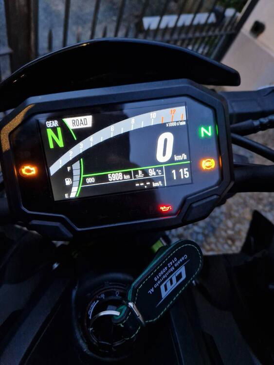 Kawasaki Z 900 (2021 - 24) (4)