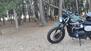 Triumph Street Scrambler 900 (2019 - 20) (6)