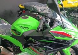 Kawasaki Ninja 500 SE (2024) nuova