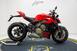 Ducati Streetfighter V4 (2023 - 24) (8)