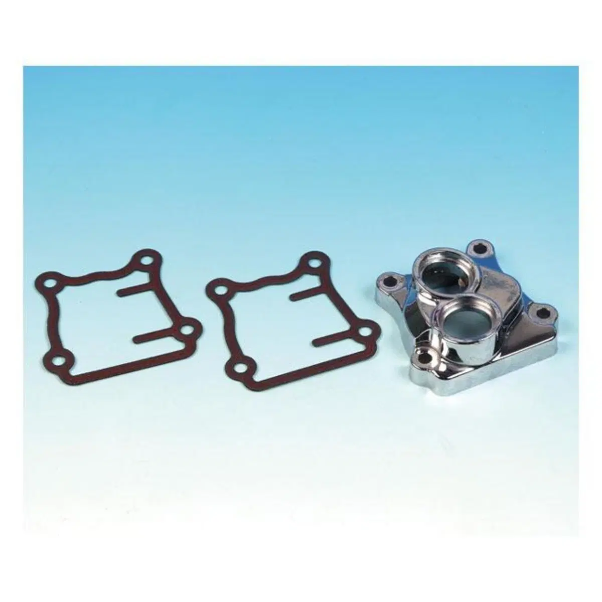 Guarnizione blocchetto punterie per Dyna, Softail 