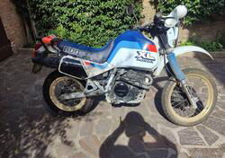 Honda XL 600 LM (1985 - 89) usata