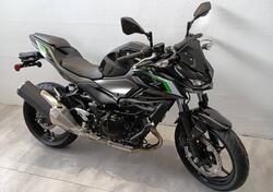 Kawasaki Z 500 (2024) nuova