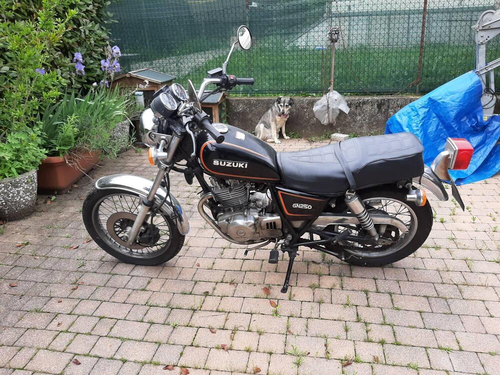 Suzuki GN 250