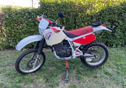 Honda XR 600 r dall’ara d'epoca