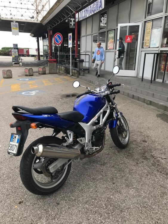 Suzuki SV 650 (1999 - 02) (3)