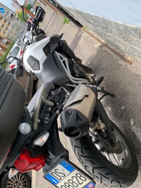 Triumph Tiger 800 (2010 - 14) (3)