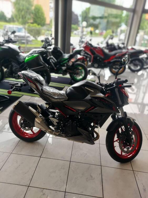 Kawasaki Z 500 SE (2024) (2)