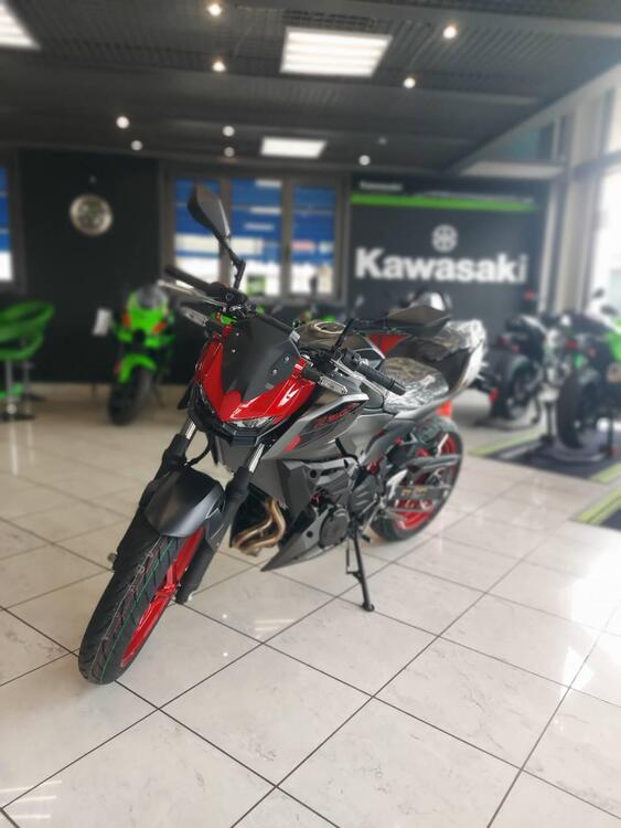 Kawasaki Z 500 SE (2024) (5)