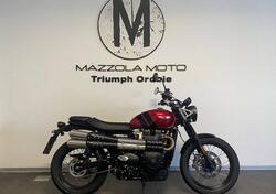 Triumph Scrambler 900 (2023 - 24) usata