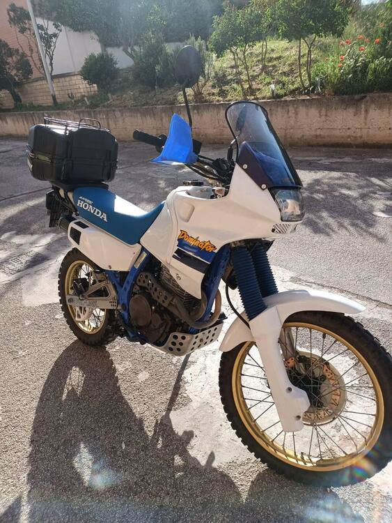 Honda Dominator (4)