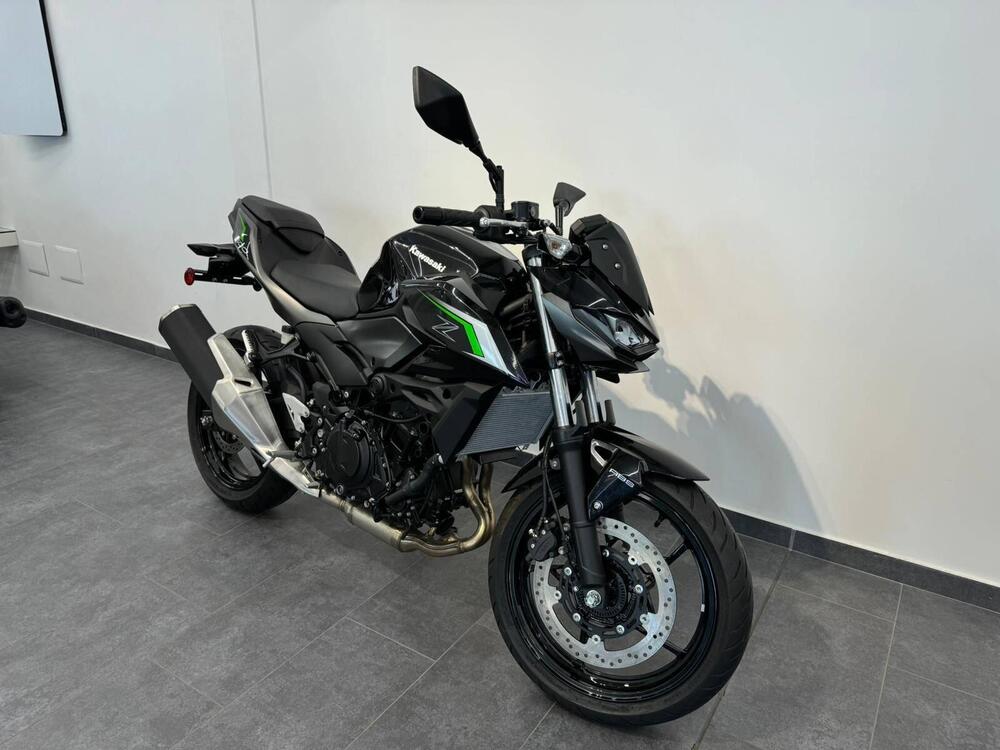 Kawasaki Z 500 (2024) (4)