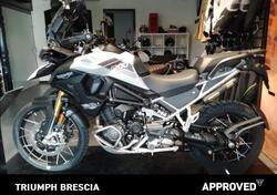 Triumph Tiger 1200 Rally Pro (2022 - 23) usata