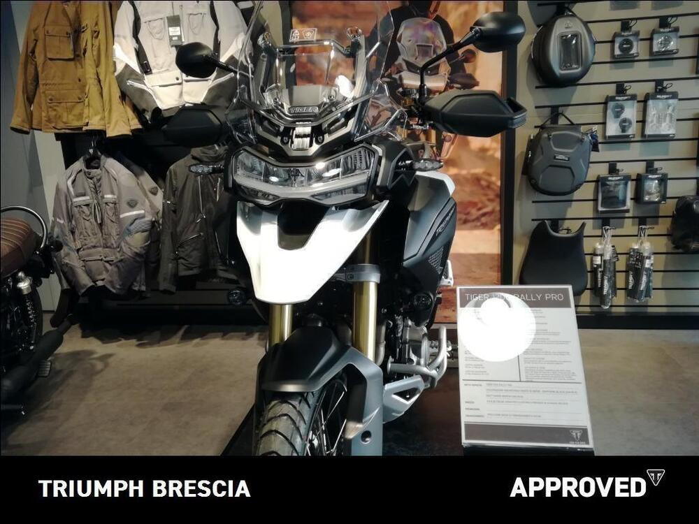 Triumph Tiger 1200 Rally Pro (2022 - 23) (4)