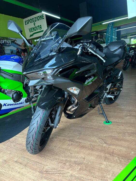 Kawasaki Ninja 500 (2024) (5)