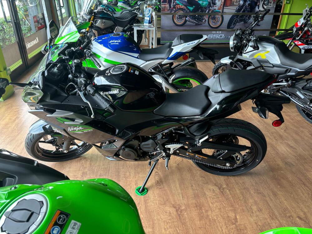 Kawasaki Ninja 500 (2024)