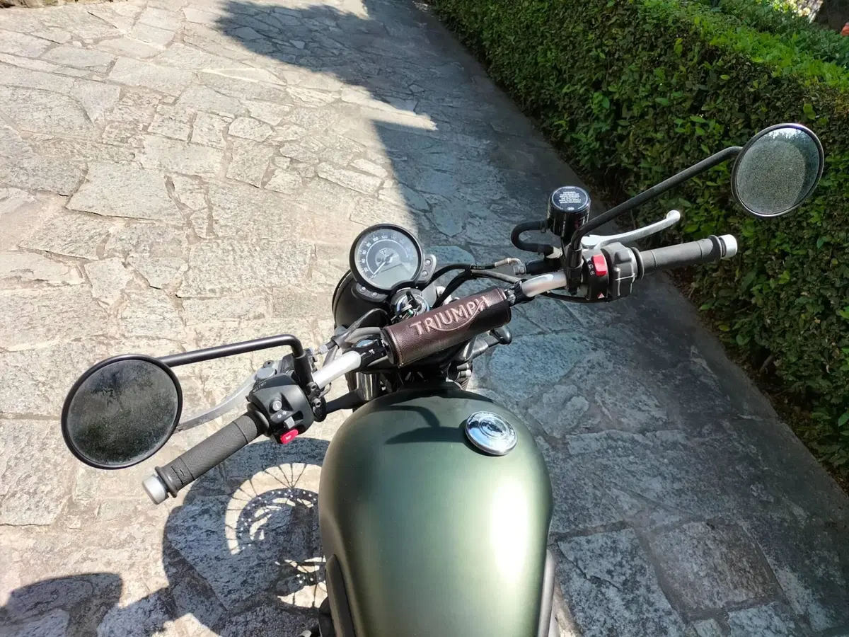 Triumph Street Scrambler 900 (2017 - 18) (7)