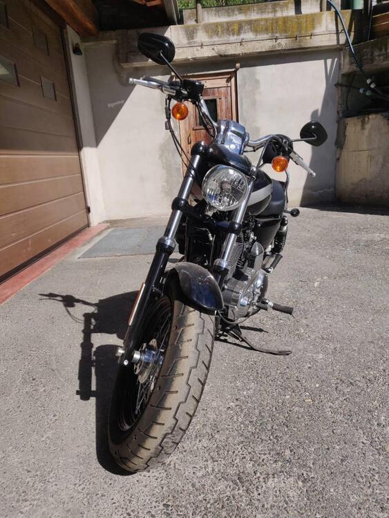 Harley-Davidson 1200 Custom (2018 - 20) - XL1200C (2)