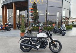 Moto Guzzi V7 Stone (2021 - 24) nuova