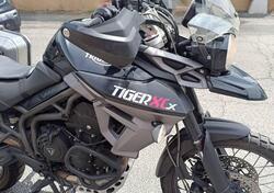 Triumph Tiger 800 XCx (2015 - 17) usata