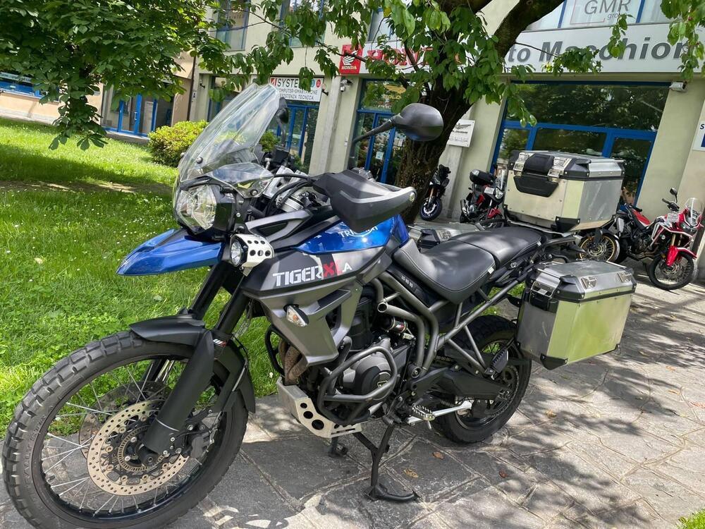 Triumph Tiger 800 XCa (2017 - 18) (4)