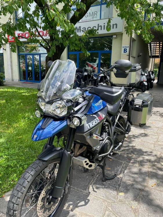 Triumph Tiger 800 XCa (2017 - 18) (5)