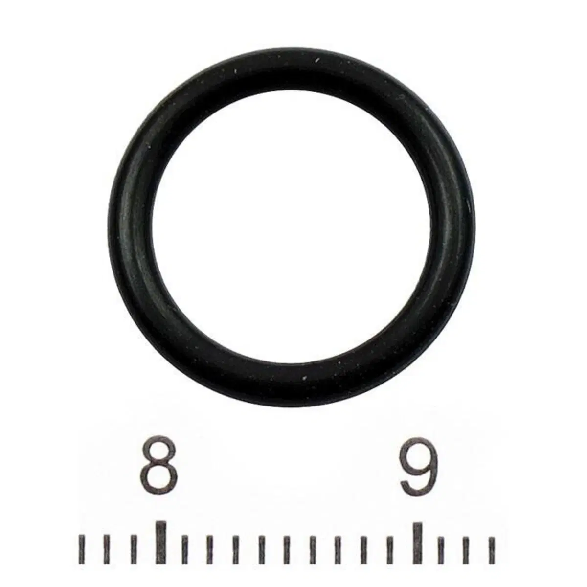 Oring per tappo di scolo per Dyna dal 2006 al 2017 