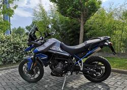 Triumph Tiger 900 usata