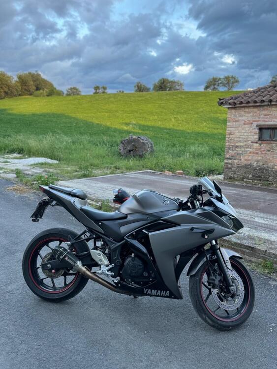 Yamaha YZF R3 (2015 - 17) (3)