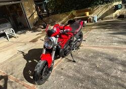 Ducati Monster 821 ABS (2014 - 17) usata