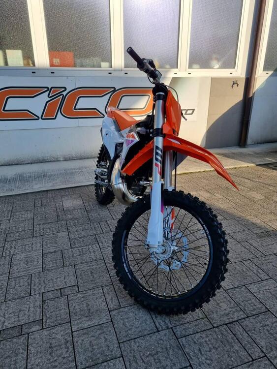 KTM SX 300 (2024) (2)