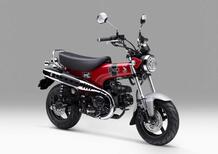 Honda Dax 125 (2023 - 24)